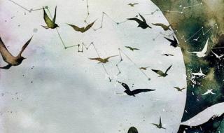 狂欢是一群人的孤单 狂欢是一群人的孤单